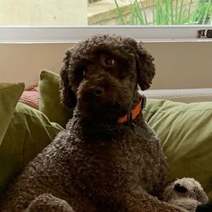 Meet your Posher, Terri